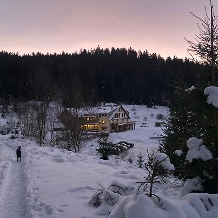 Le Perchoir Du Grand Valtin - Gite 5 Personnes - Altitude 830 Ban-sur-Meurthe-Clefcy Buitenkant foto
