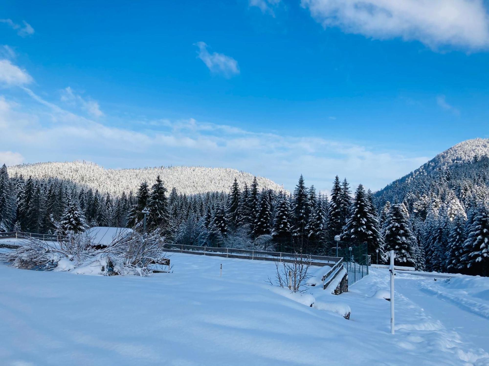 Le Perchoir Du Grand Valtin - Gite 5 Personnes - Altitude 830 Ban-sur-Meurthe-Clefcy Buitenkant foto