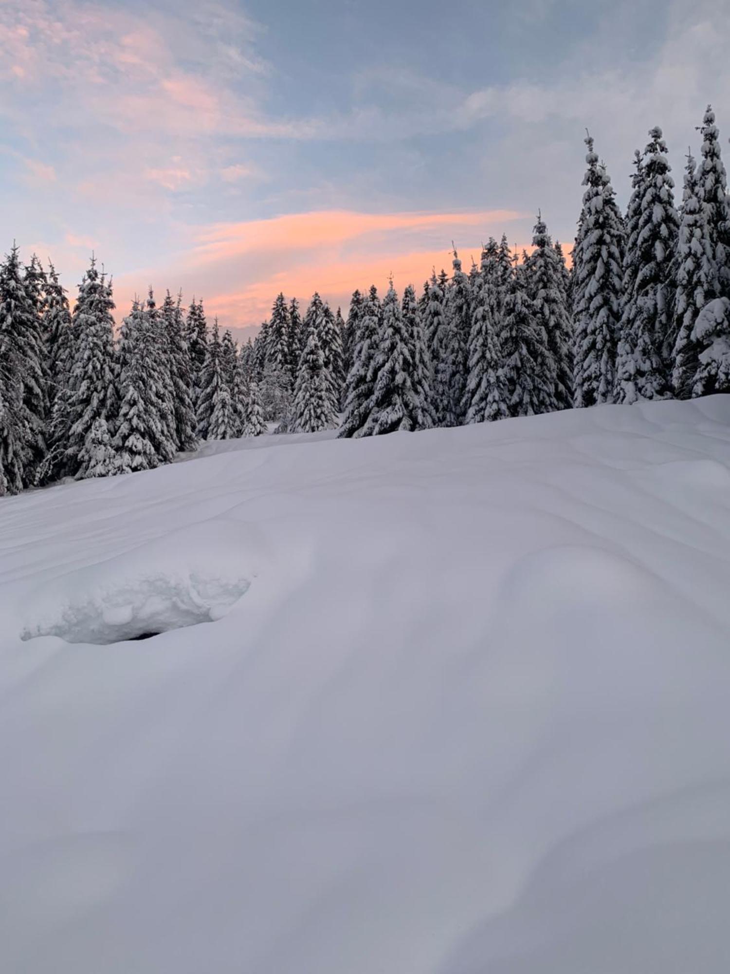 Le Perchoir Du Grand Valtin - Gite 5 Personnes - Altitude 830 Ban-sur-Meurthe-Clefcy Buitenkant foto