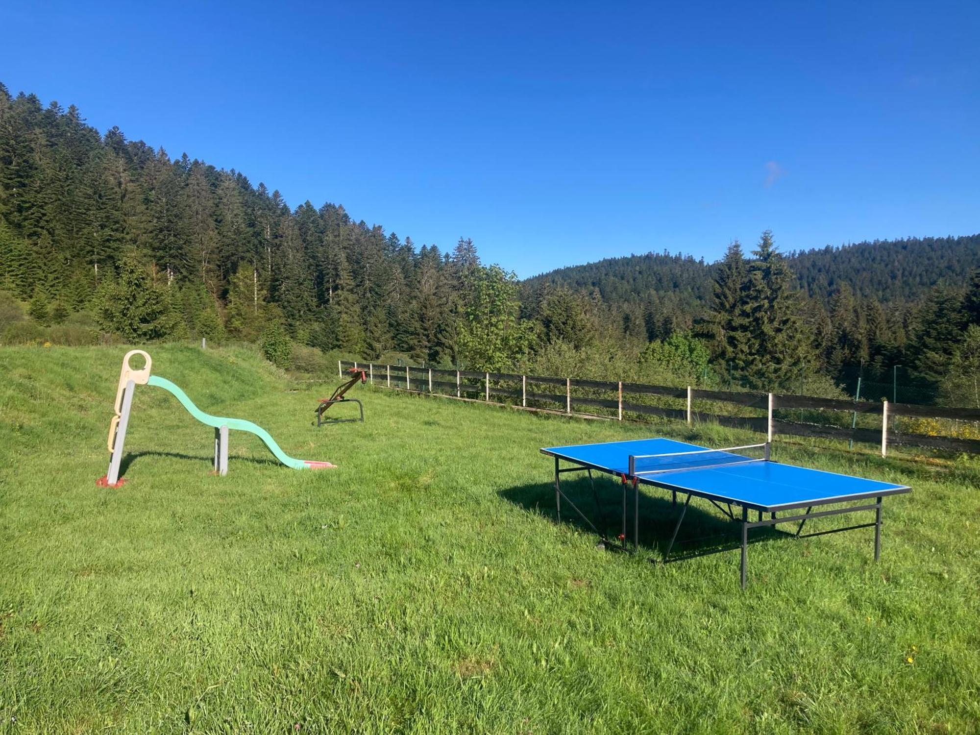 Le Perchoir Du Grand Valtin - Gite 5 Personnes - Altitude 830 Ban-sur-Meurthe-Clefcy Buitenkant foto