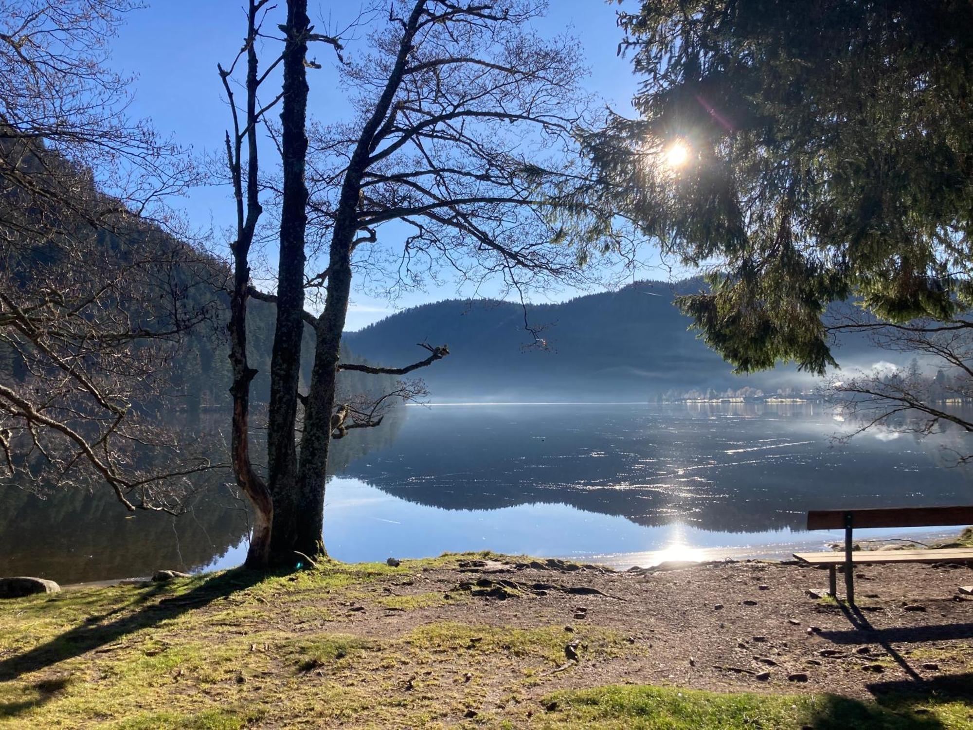 Le Perchoir Du Grand Valtin - Gite 5 Personnes - Altitude 830 Ban-sur-Meurthe-Clefcy Buitenkant foto